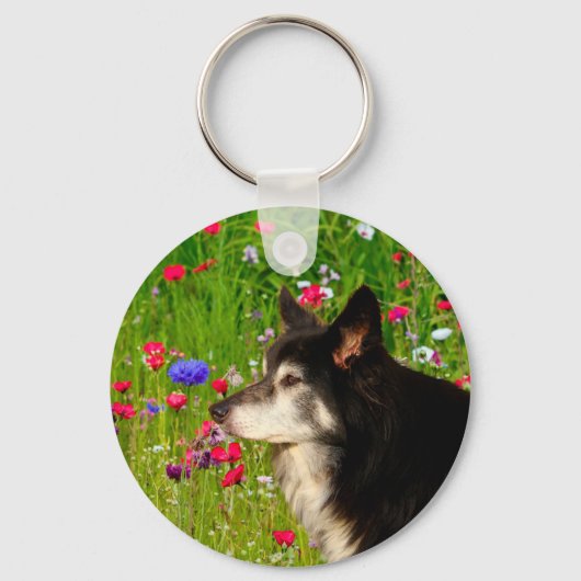 Valentine Border Collie mit wunderschönen Blume Schlüsselanhänger (Vorderseite)
