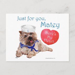 Valentine Cairn Terrier Feiertagspostkarte