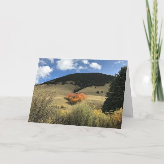 Valentine Card with Heart Shaped Aspens Karte (Vorderseite)