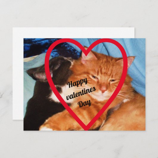 VALENTINE CAT-LIEBE FEIERTAGSPOSTKARTE (Vorne/Hinten)