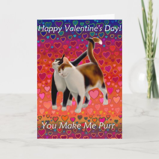 Valentine Cats Card Feiertagskarte (Vorderseite)