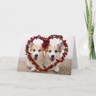 Valentine Corgis Grußkarte & Umschläge Feiertagskarte