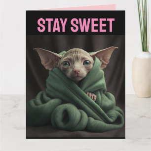 VALENTINE DAY SPHINX NIEDLICHE KATEGORIENKARTE KARTE
