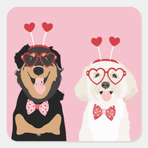 Valentine Dogs Rottweiler Maltipoo Puppy Quadratischer Aufkleber