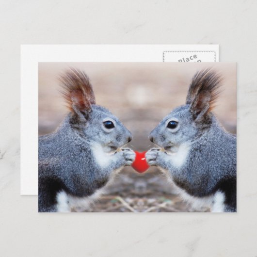 Valentine Eichhörnchen Postkarte (Vorne/Hinten)