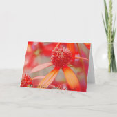 Valentine Feiertagskarte (Rückseite)