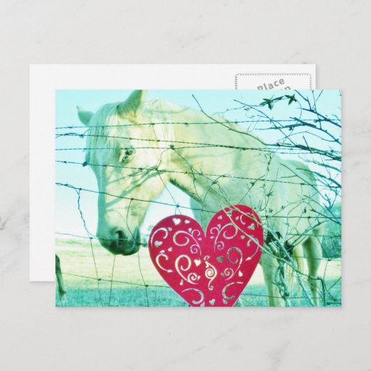 Valentine Feiertagspostkarte (Vorne/Hinten)