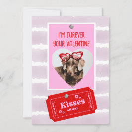 Valentine Ferienkarte für Hunde Feiertagskarte