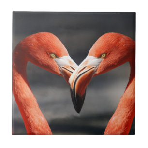 Valentine Flamingo Fliese