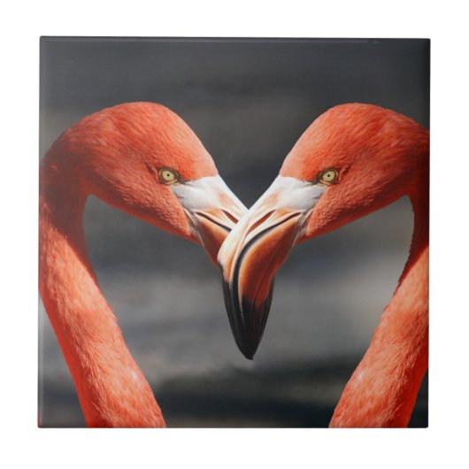 Valentine Flamingo Fliese (Vorderseite)