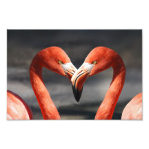 Valentine Flamingo