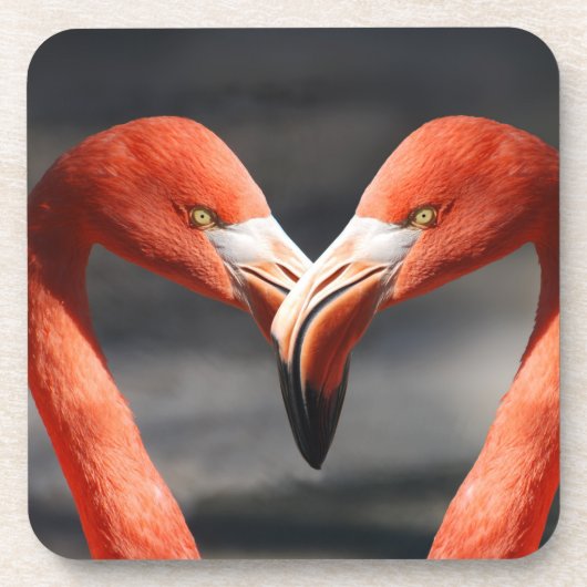 Valentine Flamingo Getränkeuntersetzer (Vorderseite)