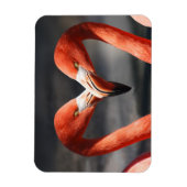 Valentine Flamingo Magnet (Vertikal)