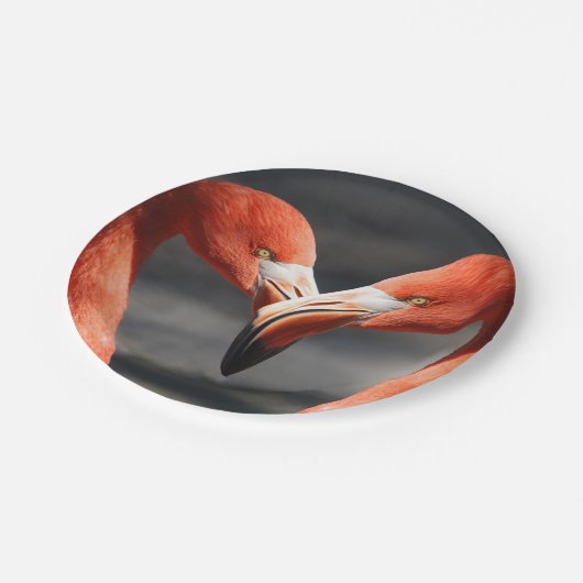 Valentine Flamingo Pappteller (Schrägansicht)