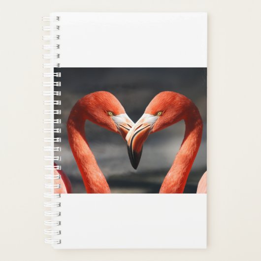 Valentine Flamingo Planer (Vorderseite)