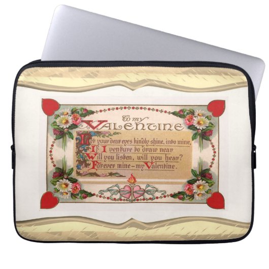 Valentine Geem Laptopschutzhülle (Vorderseite)