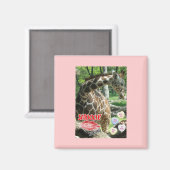 Valentine Giraffe Magnet (Vorderseite/Rückseite)