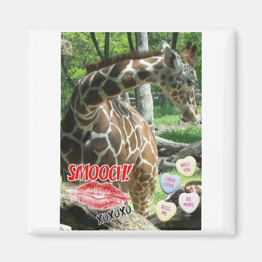 Valentine Giraffe Magnet (Vorne)
