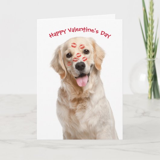 Valentine Golden Retriever Karte (Vorderseite)