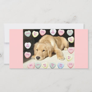 Valentine Golden Retriever Welppy Feiertagskarte