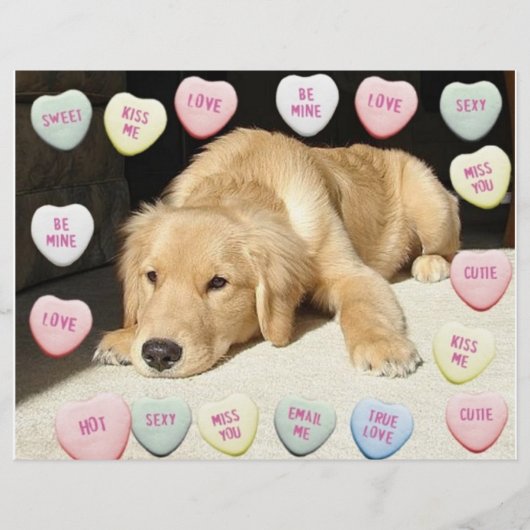 Valentine Golden Retriever Welppy Flyer (Vorne)