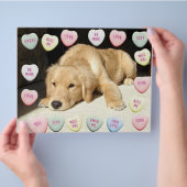 Valentine Golden Retriever Welppy Flyer (Hand)