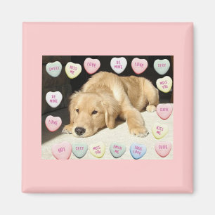 Valentine Golden Retriever Welppy Magnet