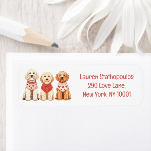 Valentine Goldendoodle Hunde (Insitu)