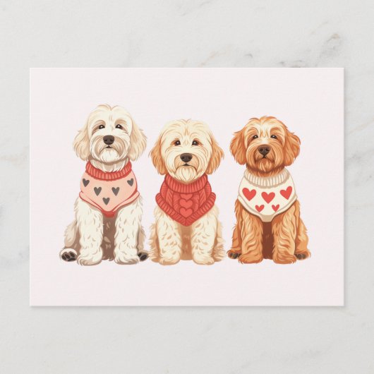 Valentine Goldendoodle Hunde Postkarte (Vorderseite)