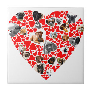 Valentine Heart Dog FotoCollage Fliese