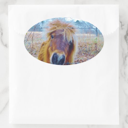 Valentine Heart Horse Ovaler Aufkleber (Tasche)