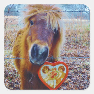 Valentine Heart Horse Quadratischer Aufkleber