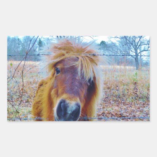 Valentine Heart Horse Rechteckiger Aufkleber (Vorderseite)