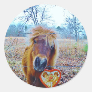Valentine Heart Horse Runder Aufkleber