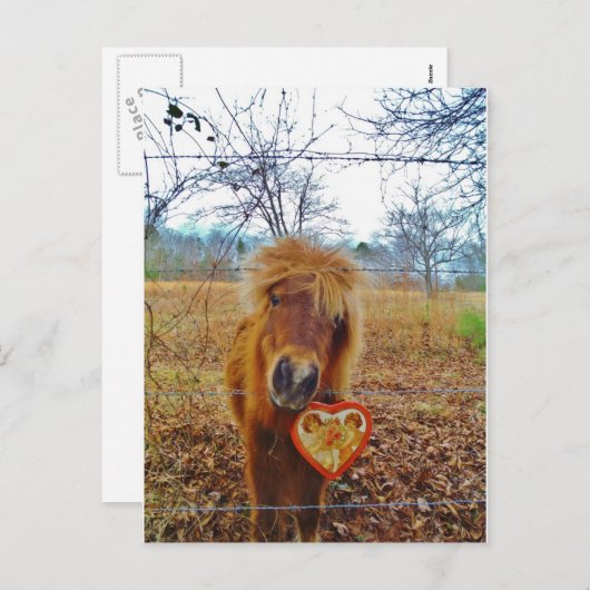 Valentine Herz Miniatur Feiertagspostkarte (Vorne/Hinten)