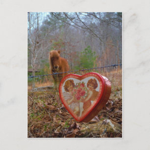 Valentine Herz Miniatur Feiertagspostkarte