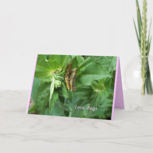 Valentine-Karten-/Liebe-Wanzen Feiertagskarte