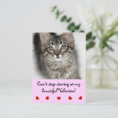 Valentine Kitten Postkarte (Stehend Vorderseite)