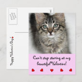 Valentine Kitten Postkarte (Vorne/Hinten)