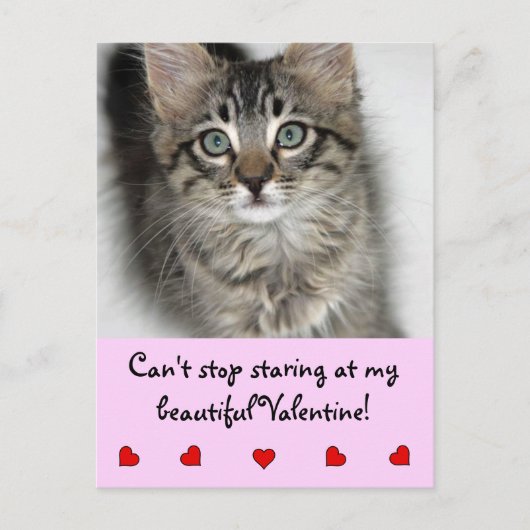 Valentine Kitten Postkarte (Vorderseite)