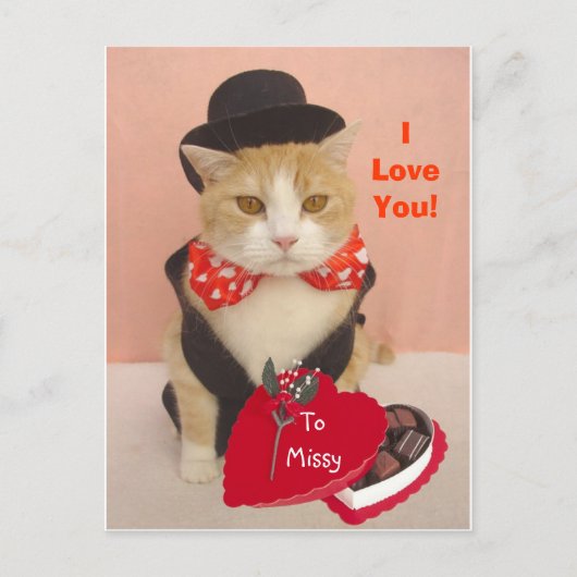 Valentine Kitty Feiertagspostkarte (Vorderseite)