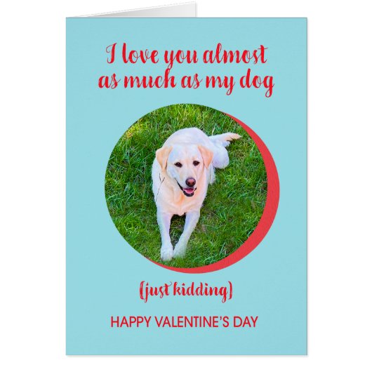Valentine Liebe Hund mehr, nur kidden, lustig (Vorne)