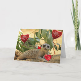 Valentine Meerkat Feiertagskarte