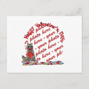 Valentine Raccoon "Bandit" Foto Feiertagspostkarte