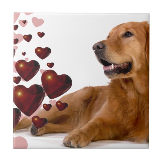 Valentine Red Hearts Golden Retriever Dog Fliese (Vorderseite)