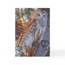 Valentine, Romance, Funny, Spaß Owl - ME + WHO