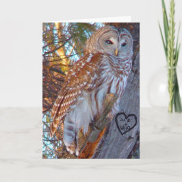 Valentine, Romance, Funny, Spaß Owl - ME + WHO Feiertagskarte