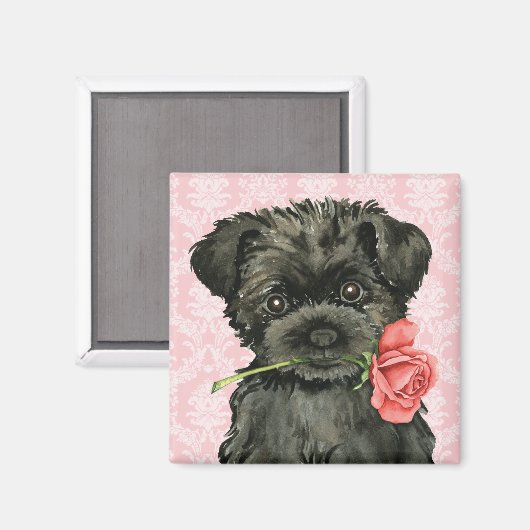 Valentine Rose Affenpinscher Magnet (Vorderseite/Rückseite)