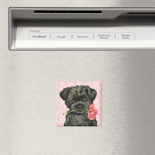 Valentine Rose Affenpinscher Magnet (In Situ (Geschirrspüler))