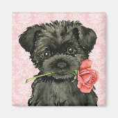 Valentine Rose Affenpinscher Magnet (Vorne)